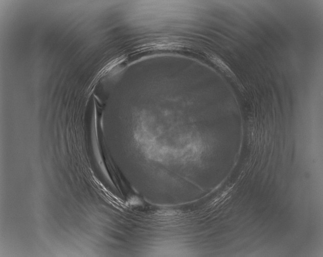 X0000051240930200507011622