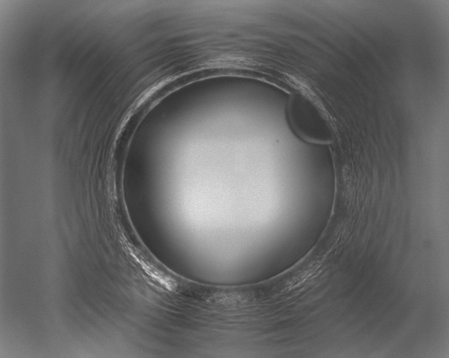 X0000051240931200507011622