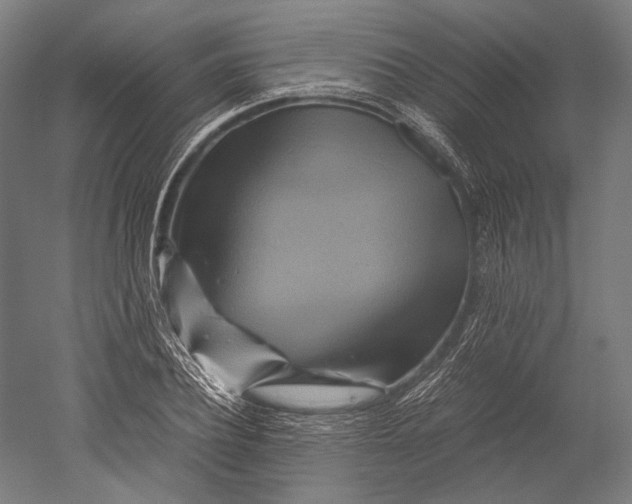 X0000051240932200507011622