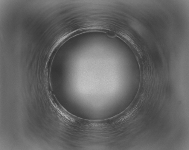 X0000051240933200507011622