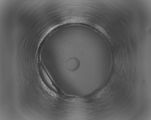 X0000051240934200507011622