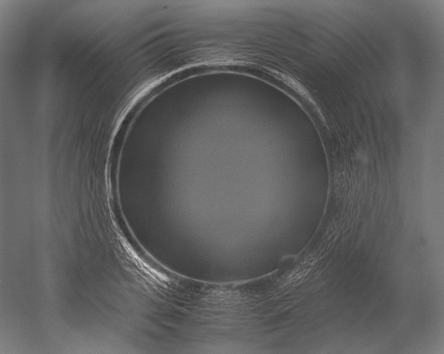 X0000051240935200507011622