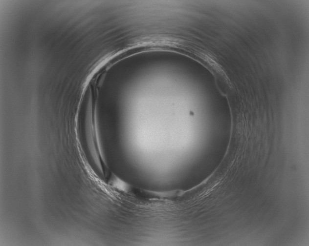 X0000051240936200507011622