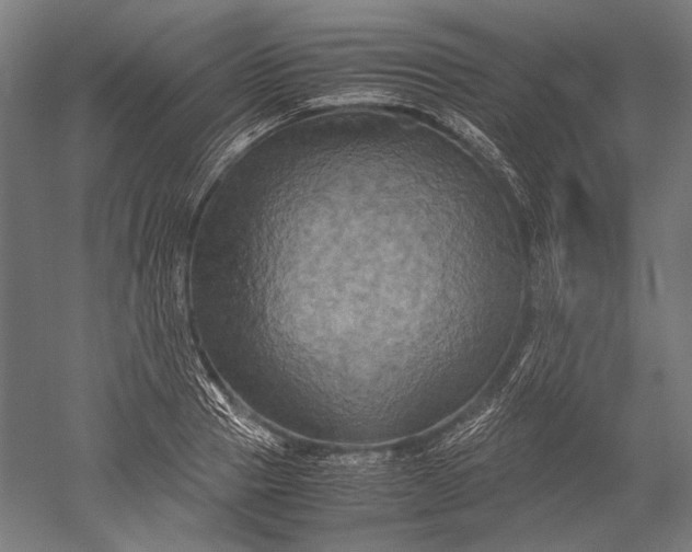 X0000051240937200507011622