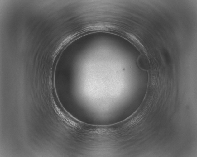 X0000051240938200507011622