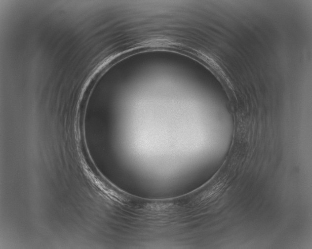 X0000051240939200507011622