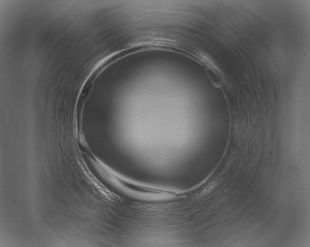 X0000051240940200507011622