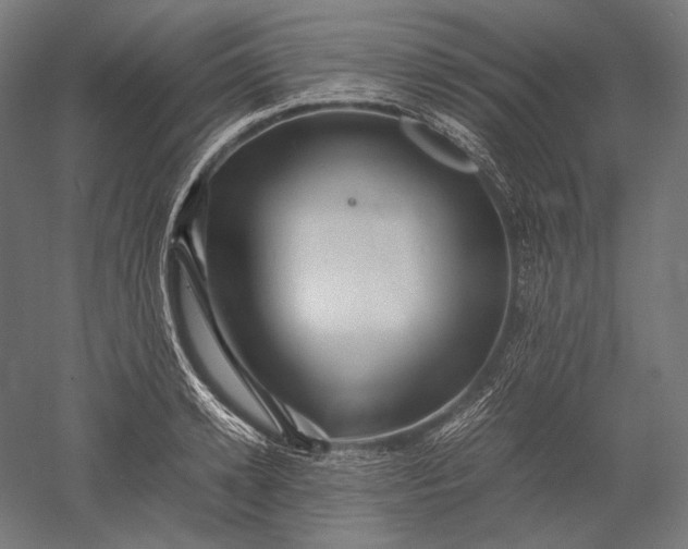 X0000051240942200507011622