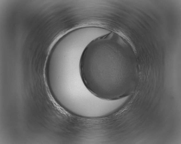 X0000051240944200507011622