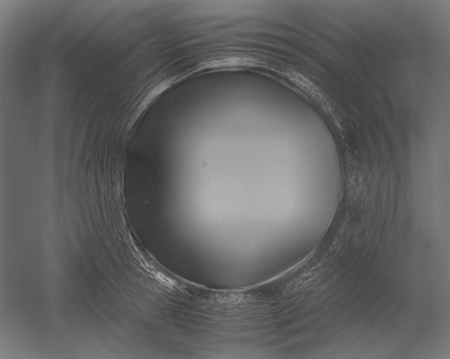 X0000051240945200507011622