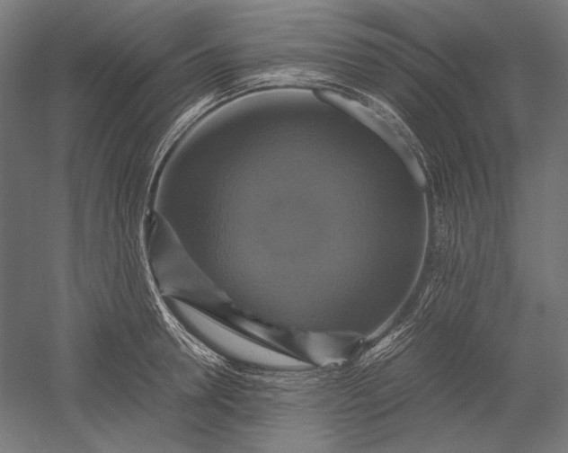 X0000051240946200507011622