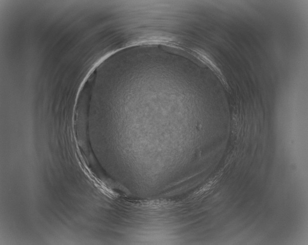 X0000051240948200507011622