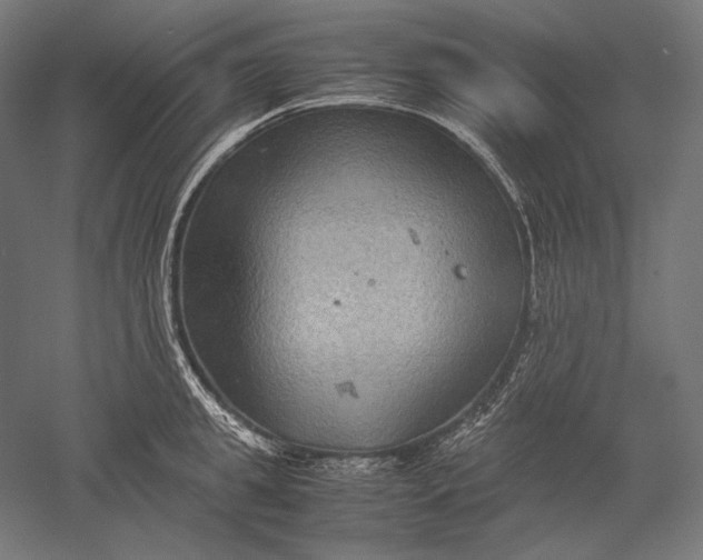 X0000051240949200507011622