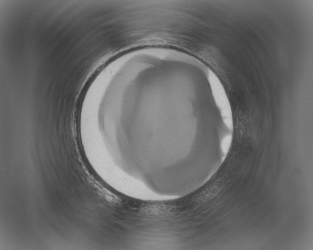 X0000051240950200507011622