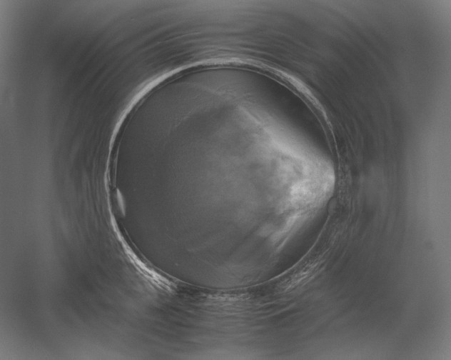 X0000051240951200507011622