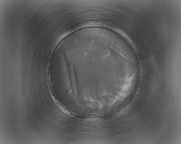 X0000051240953200507011622