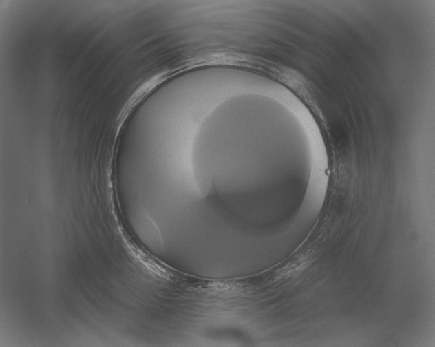 X0000051240954200507011622