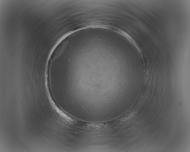 X0000051240955200507011622