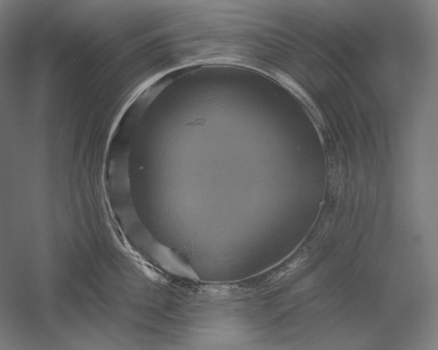 X0000051240956200507011622