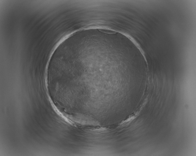 X0000051240957200507011623