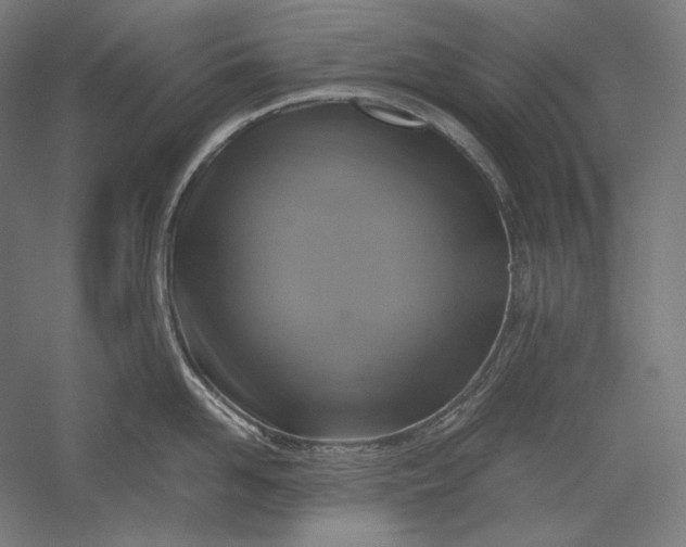 X0000051240958200507011623