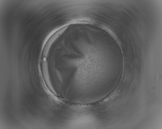 X0000051240960200507011623