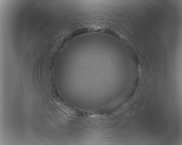 X0000051240961200507011622