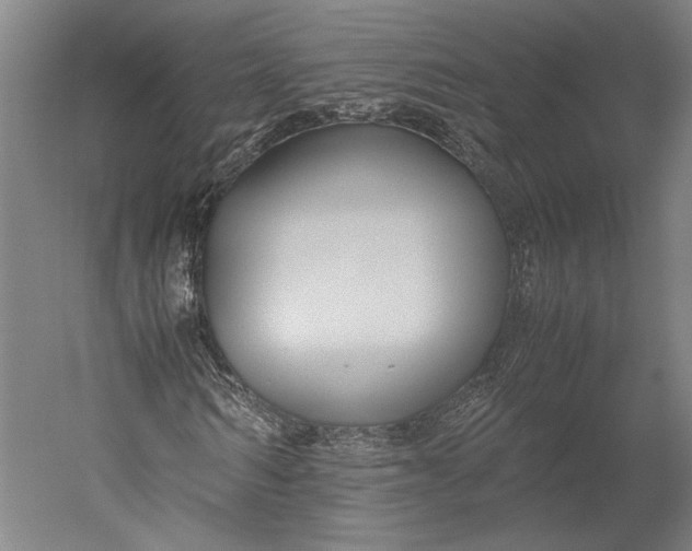 X0000051240962200507011622