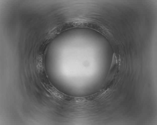 X0000051240964200507011622