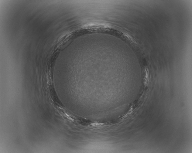 X0000051240965200507011622