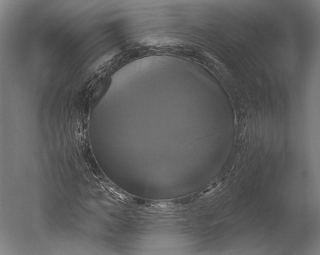 X0000051240966200507011622