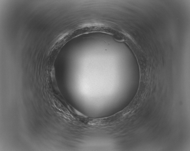 X0000051240967200507011622