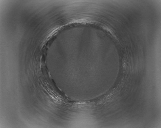 X0000051240968200507011622