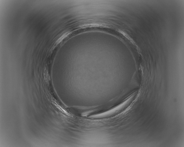 X0000051240969200507011622