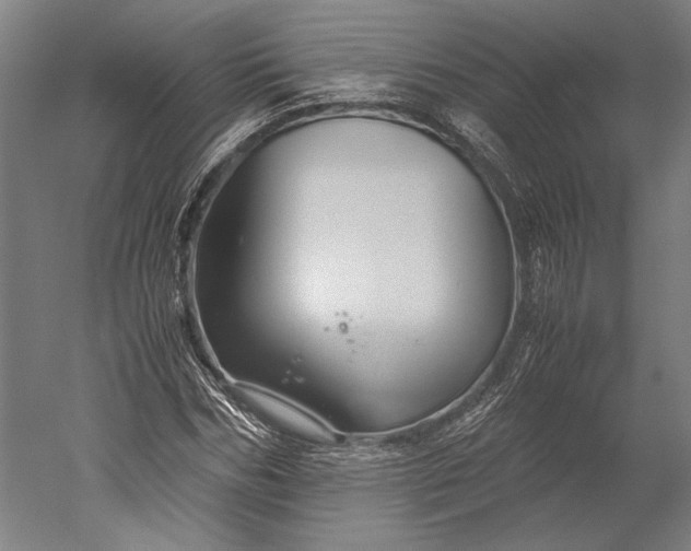 X0000051240970200507011622