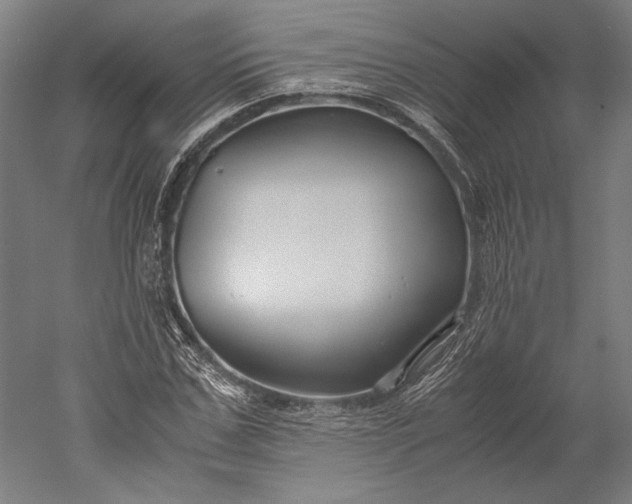 X0000051240971200507011622