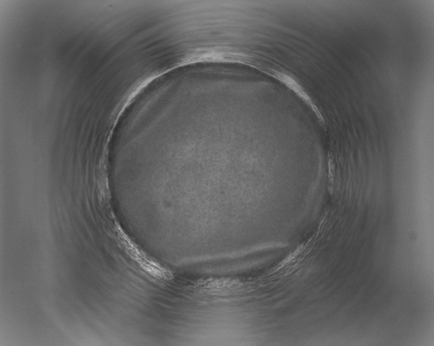 X0000051240972200507011622