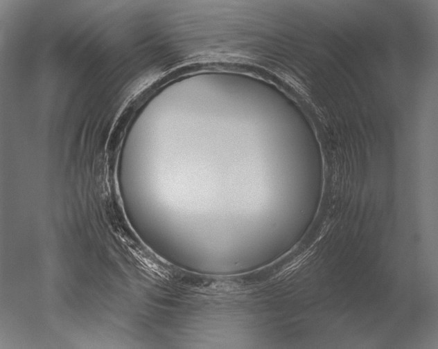 X0000051240974200507011622