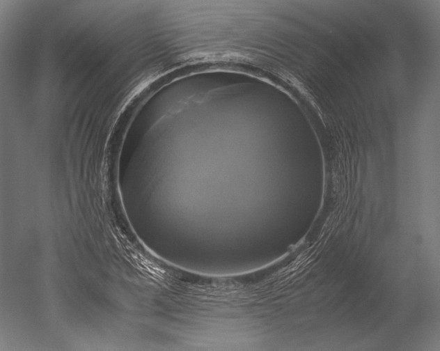 X0000051240975200507011621