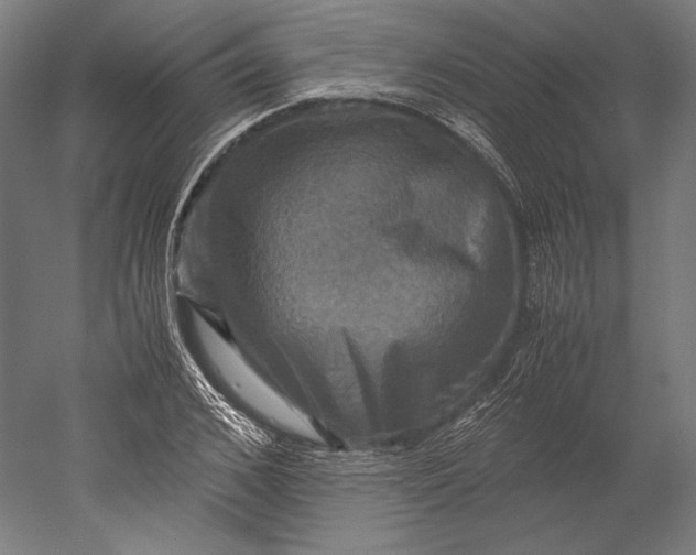 X0000051240976200507011621