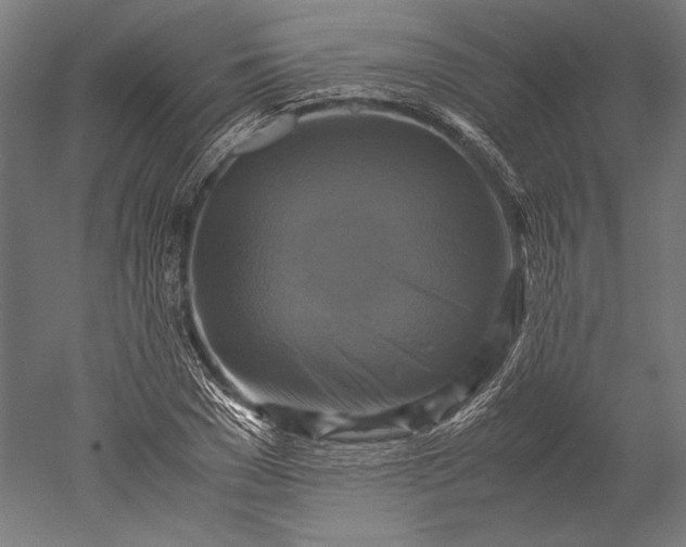 X0000051240977200507011621