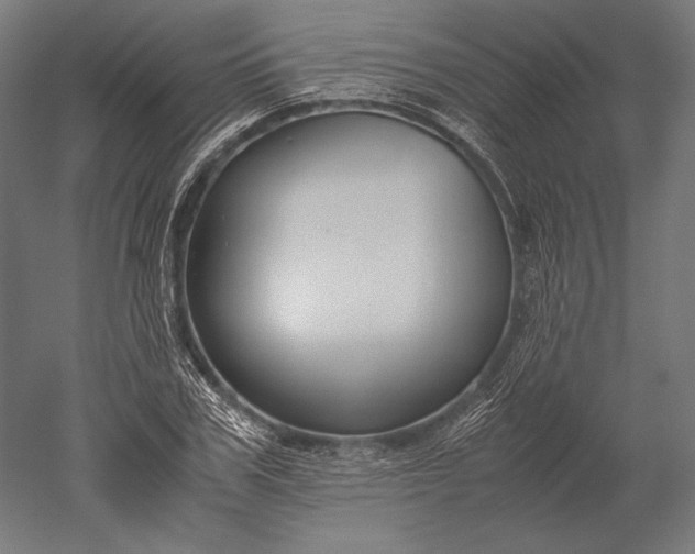 X0000051240979200507011621