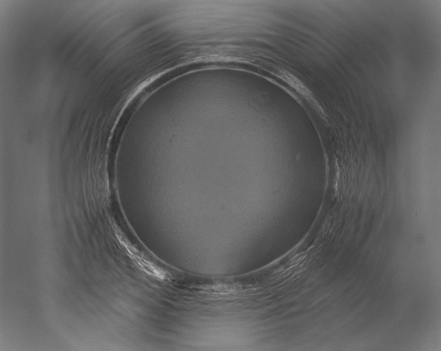 X0000051240980200507011621