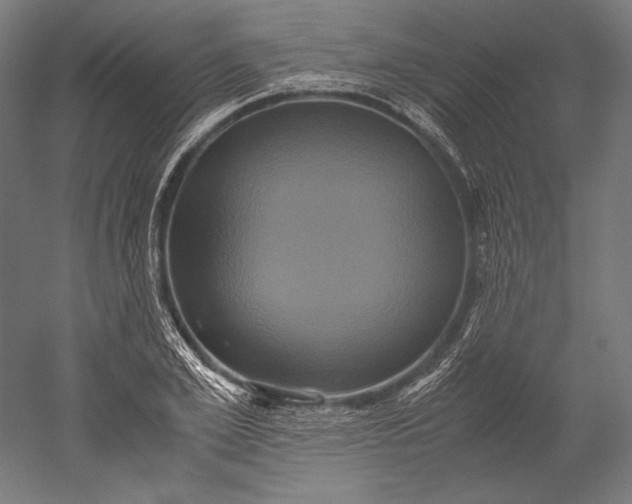 X0000051240981200507011621