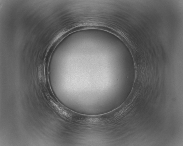 X0000051240982200507011621