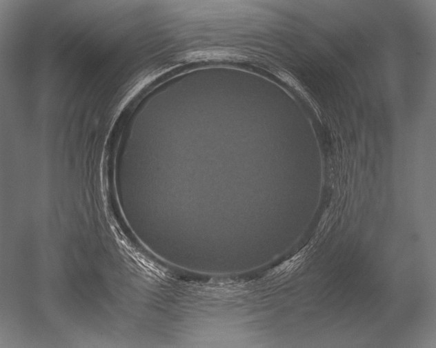 X0000051240983200507011621