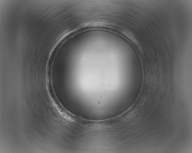 X0000051240984200507011621