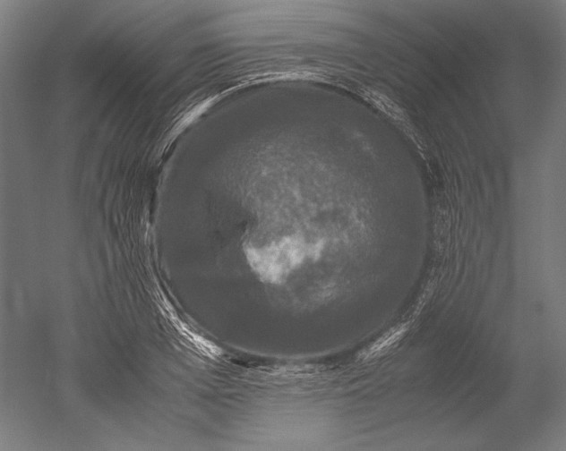 X0000051240985200507011621