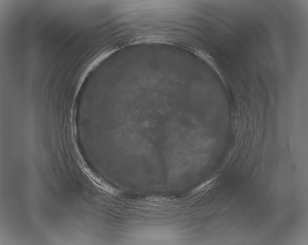 X0000051240987200507011621