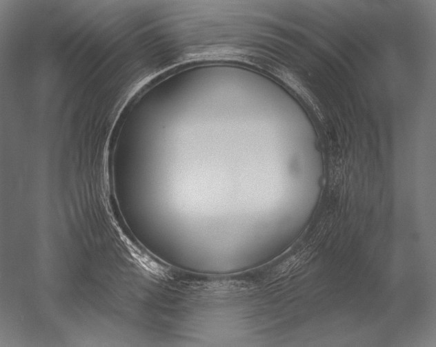 X0000051240988200507011621